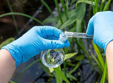 Lotus Lab