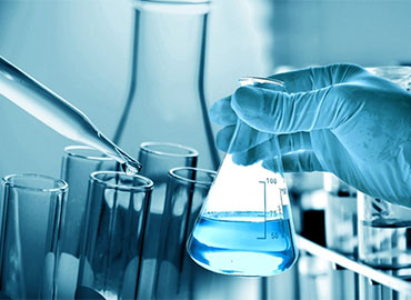 Lotus Lab